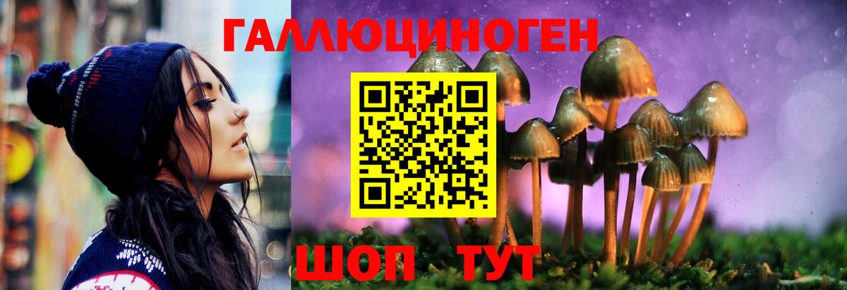 Галлюциногенные грибы Cubensis Всеволожск